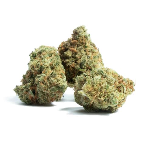 Sundae Driver, also known as "Sunday Driver," is a hybrid marijuana strain made by crossing FPOG with Grape Pie. . Gmo strain leafly